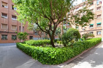 25_JARDIN_01